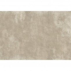 Akmens masės terasos plytelės GROUND GREY LIGHT, 60 × 90 × 2 cm